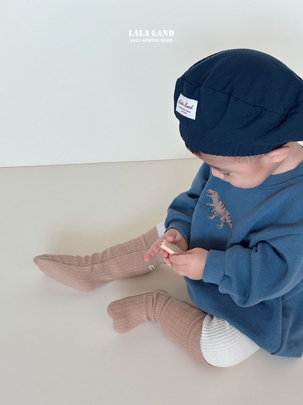 e14a433c1cfc8a6b7aabd6fbba0f0861-1739532953287