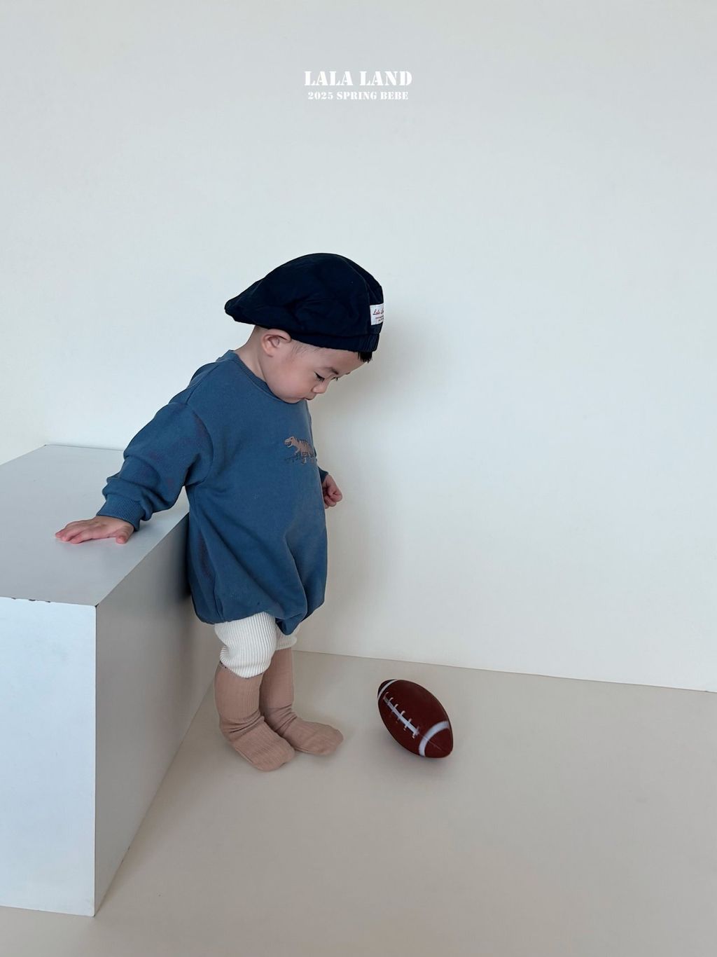 bdffe503b145a7094a6c4986a82cbdda-1739532953291