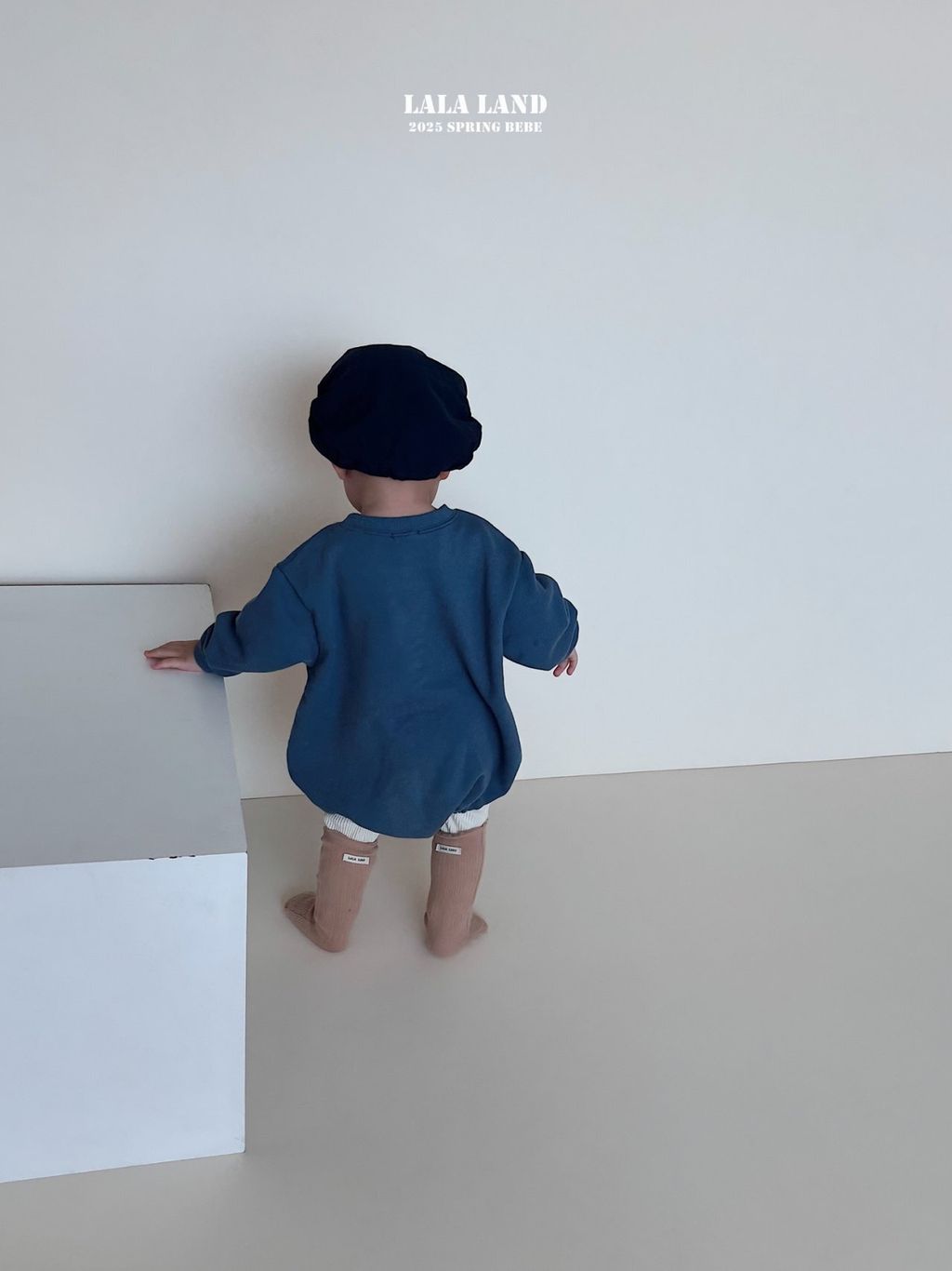 c43f6befa6de4f64e76022a553cd3de7-1739532953294