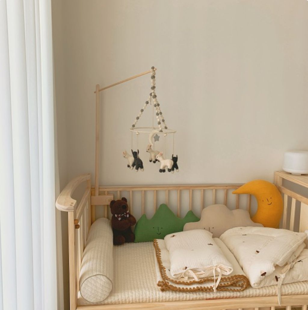 image_E475BEC2-9C3E-4CB6-B708-2FFF671F00CA_1748443547