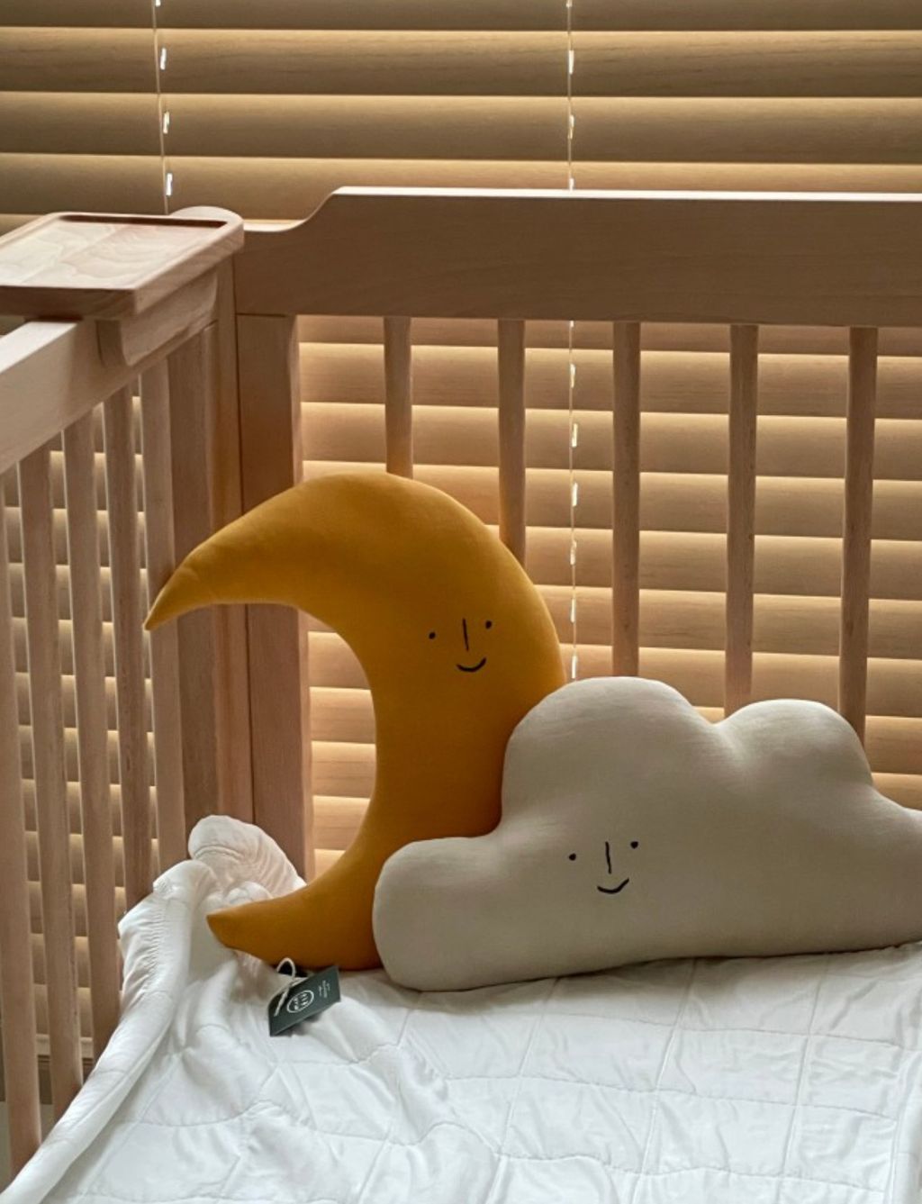 image_FEF50A50-7665-42D6-B1EC-1B6BEDACA994_1748444485