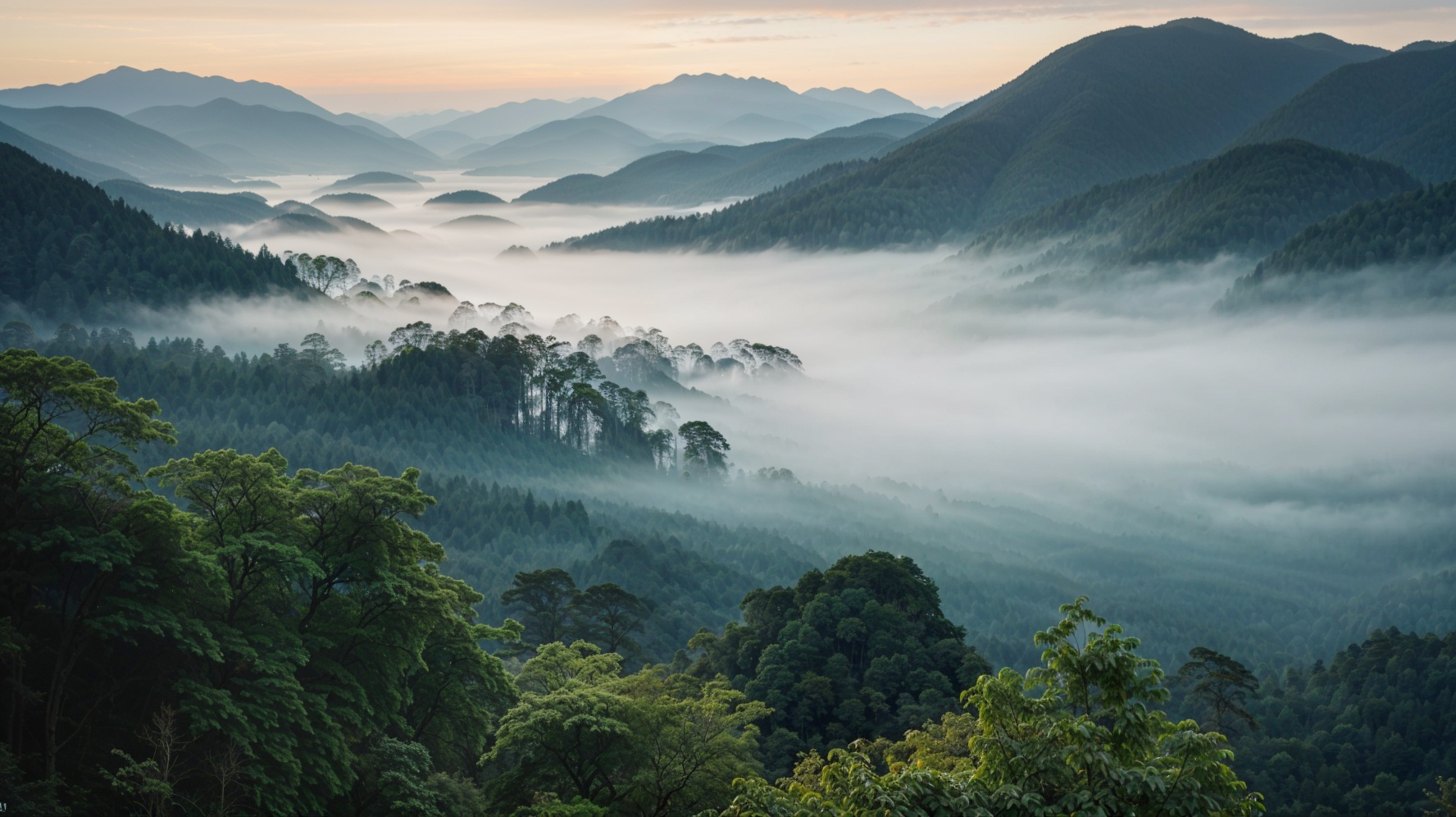 universal_upscale_0_fb617e9b-2097-4468-9e20-a29a67a5cd1d_0