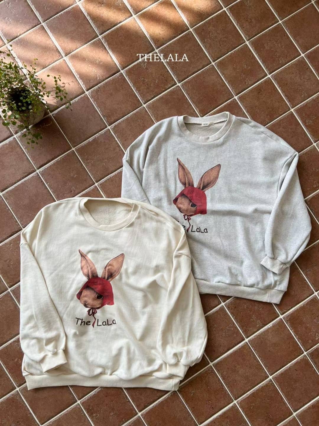 image_9DA0C8AB-6B0B-4008-B8C3-C60A6C9293C3_1757860040