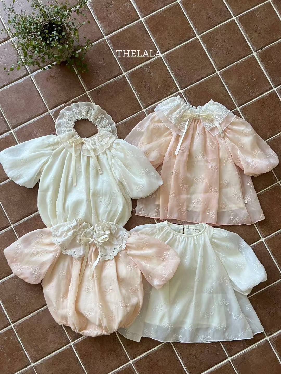 image_08A140A3-DCC4-4555-8715-2DBEA71DA5C5_1757862602