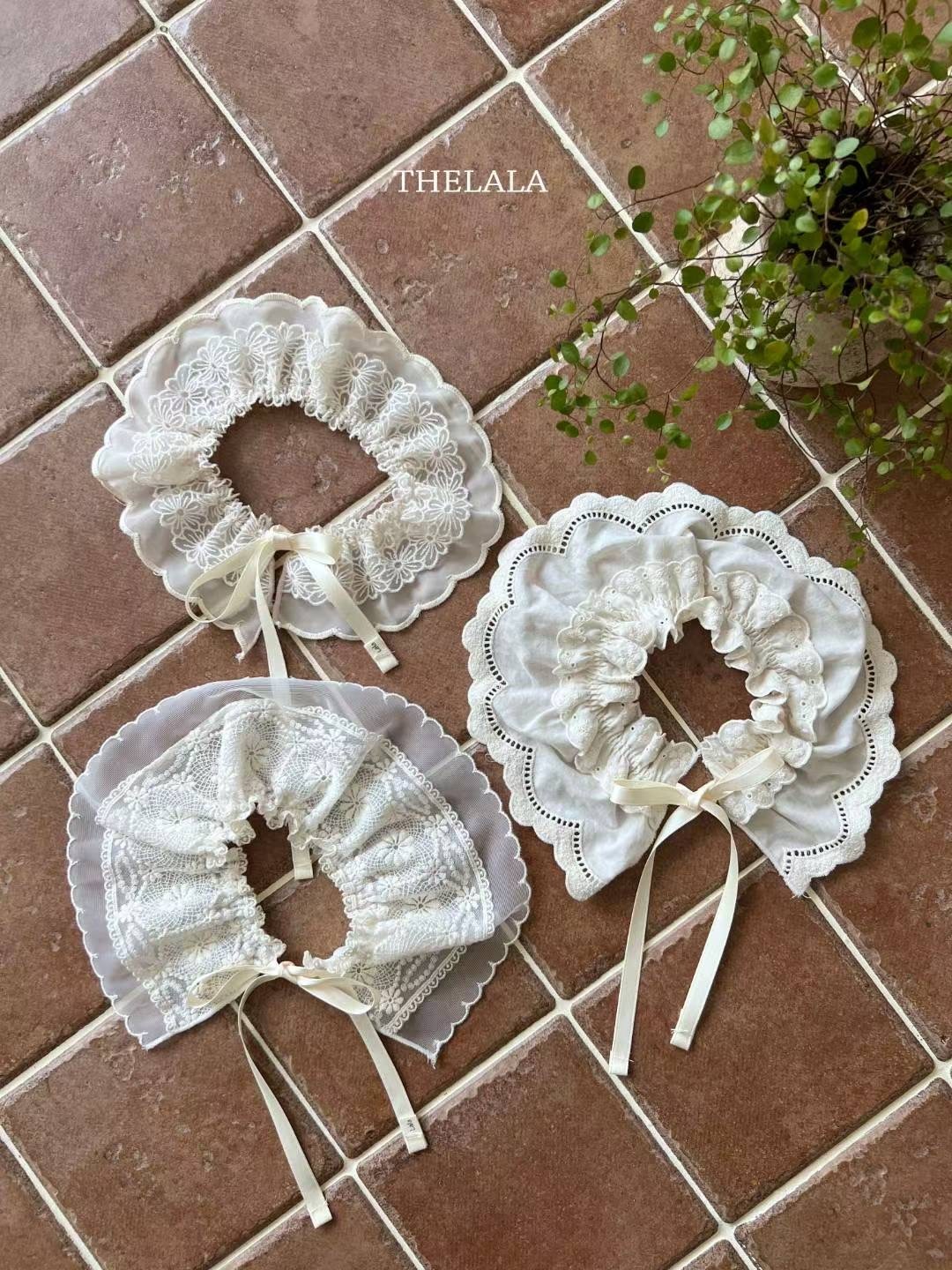 image_56B90E55-B3EF-4A75-B917-10EE85B4E17B_1757904124