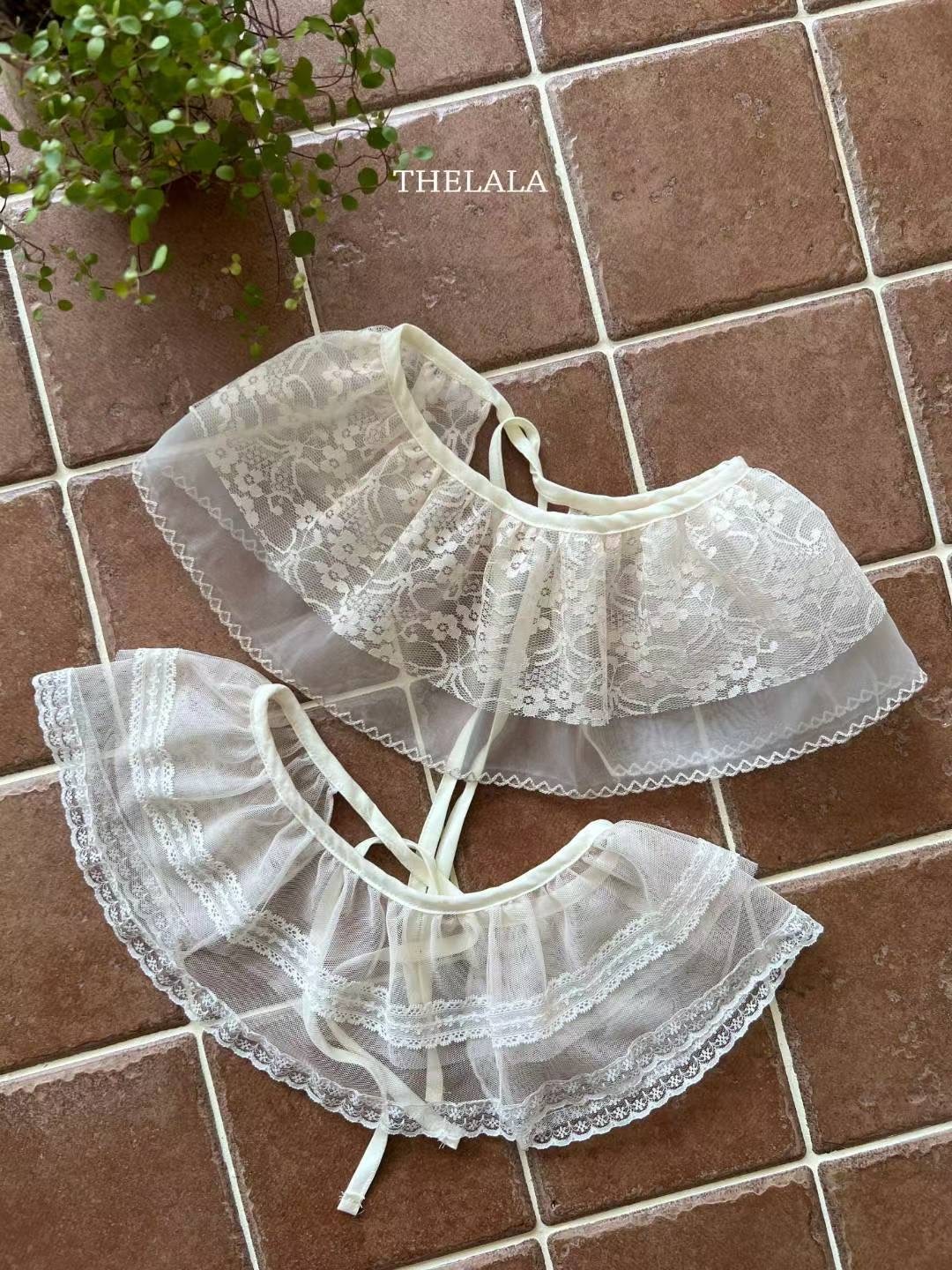 image_56DE35F0-D61A-4E1F-9959-EB717993FF0D_1757904310