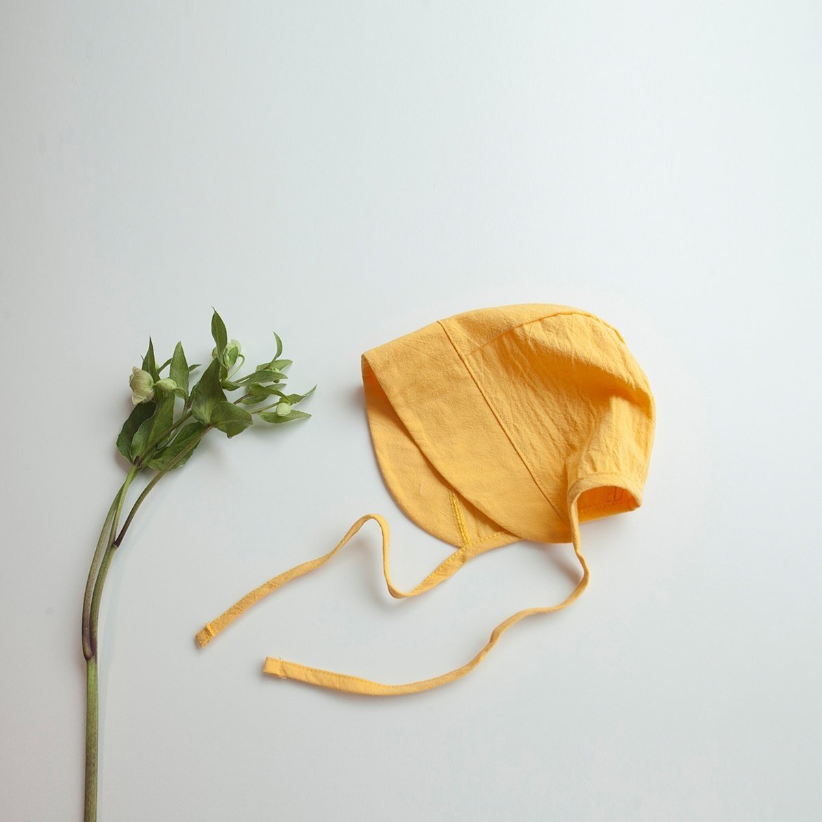 image_404E899E-BB94-4C94-A877-72A92EA5CDBE_1759318138