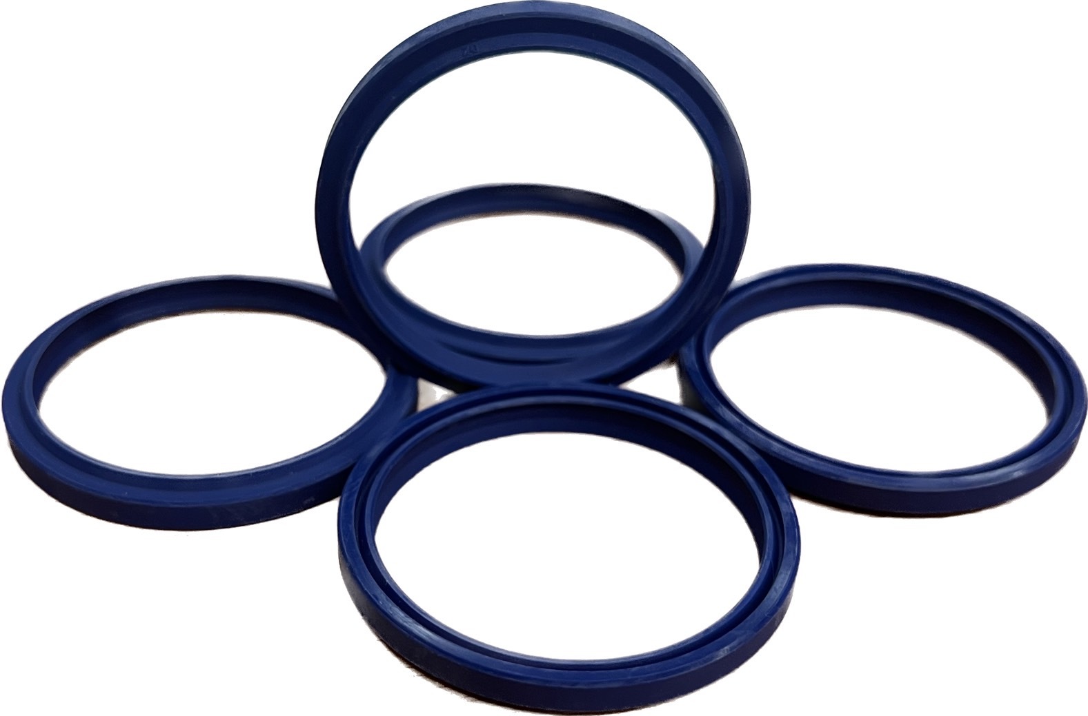 DH seal-4