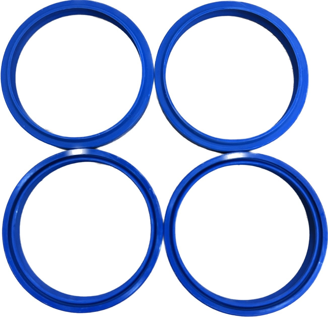 DH seal-3