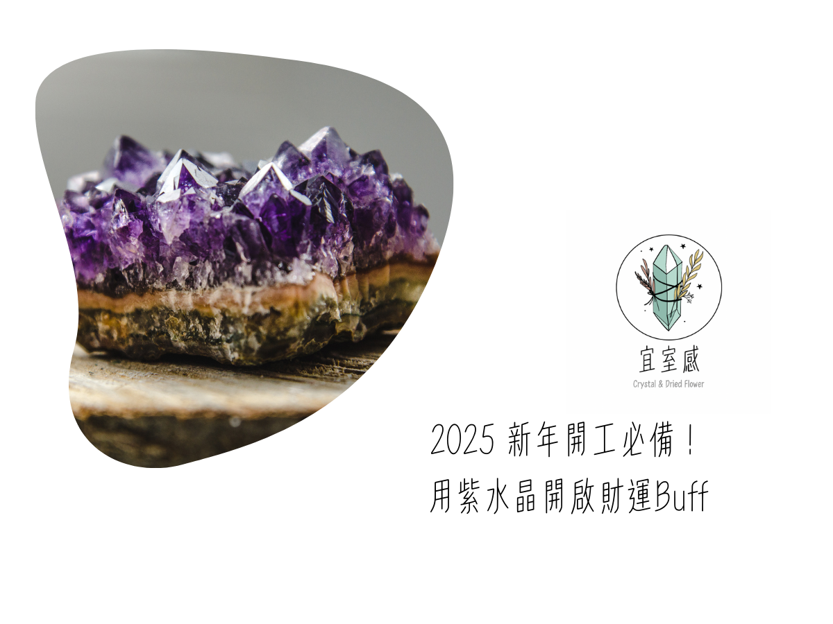 2025 新年開工必備!用紫水晶開啟財運Buff | 宜室感 X 狂買園藝