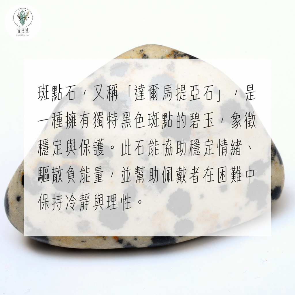 斑點石.zip - 2-1739731530691