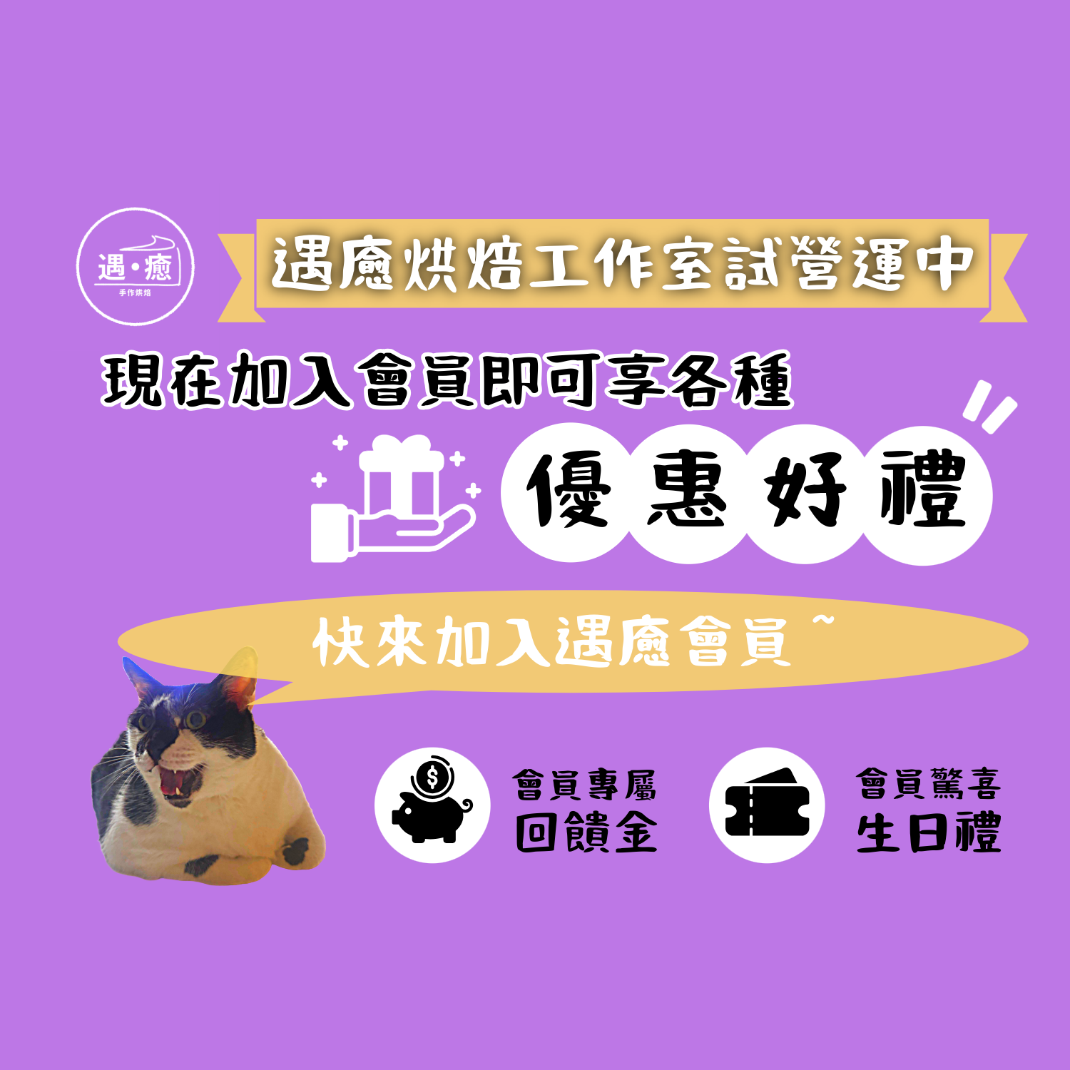https://cdn.store-assets.com/s/1374899/f/15054042.png
