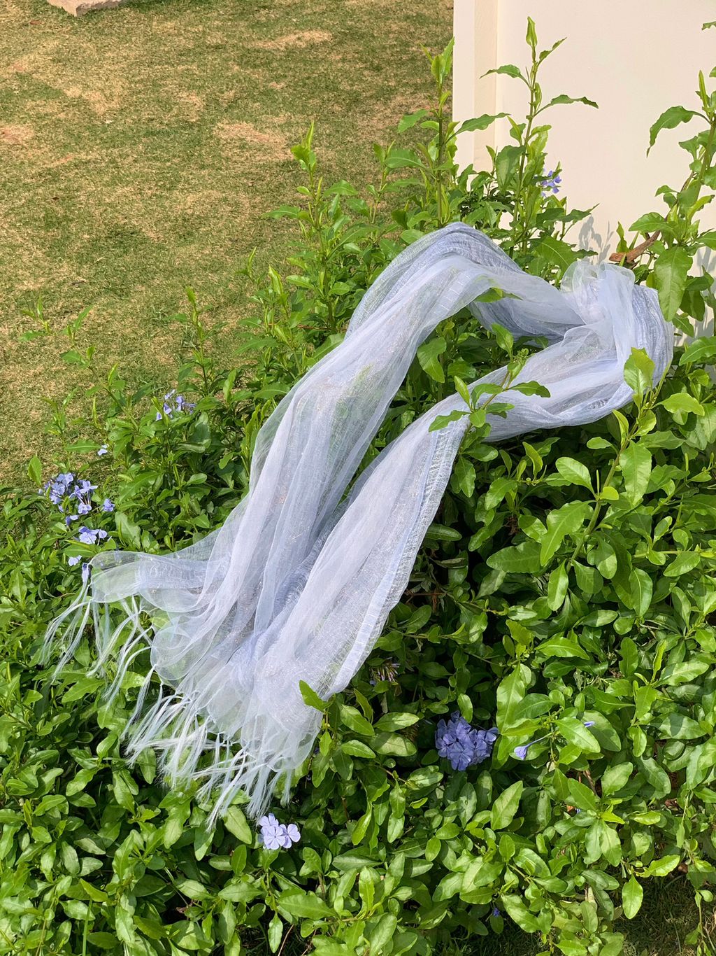 0c9ea95f65cc6a41e1d42dc72885f39d