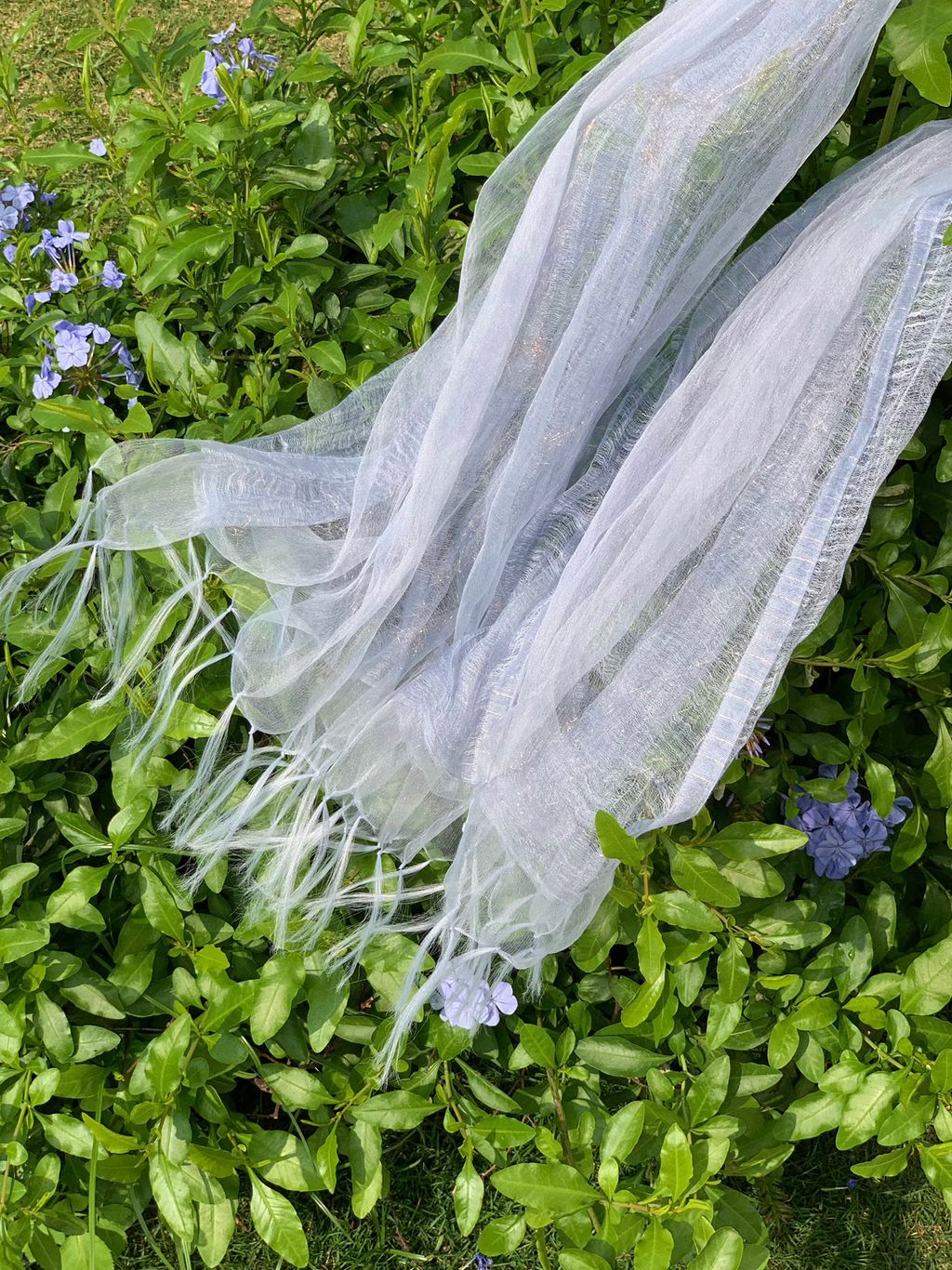 ffac066ecfc59d96313ca58e994eb774