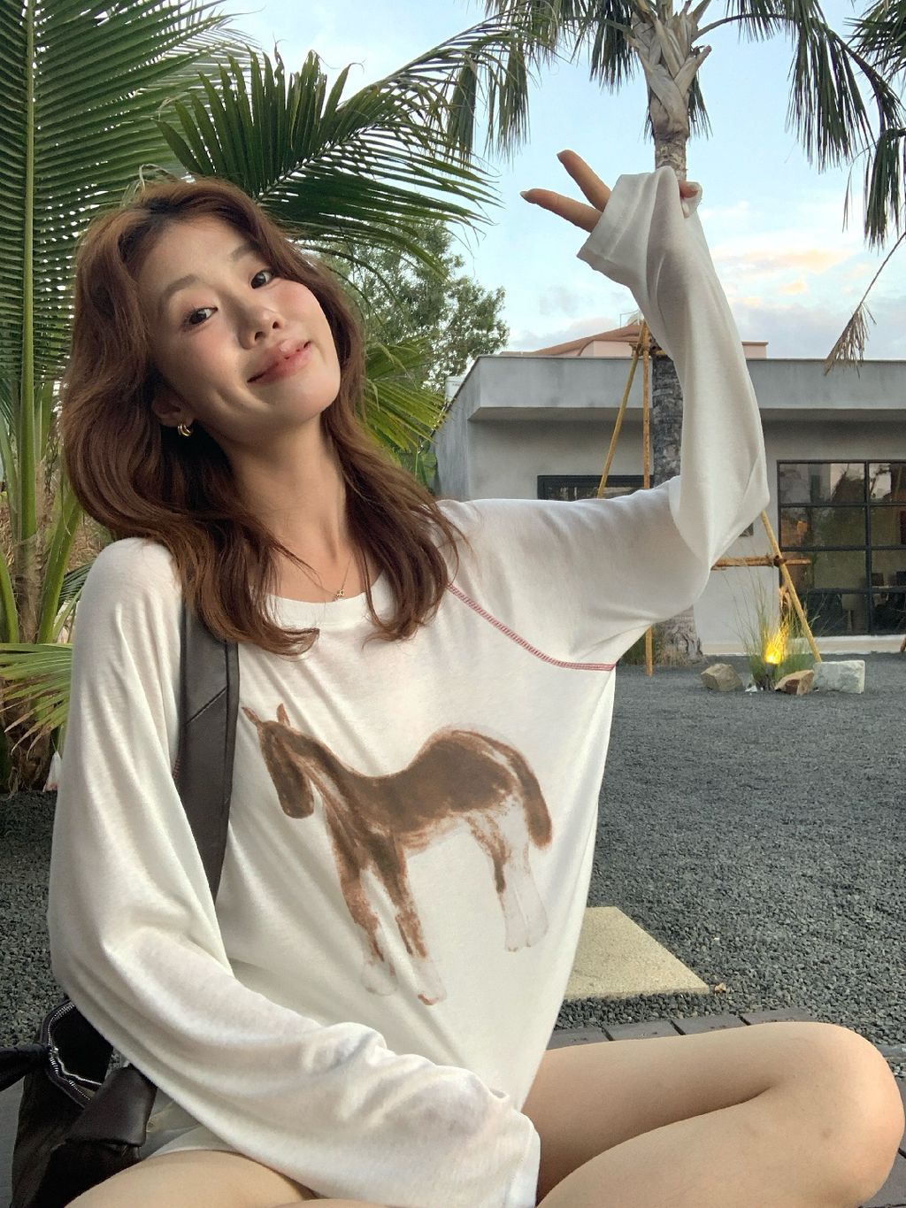 68203e64113ceff78de25bdc601a97e3