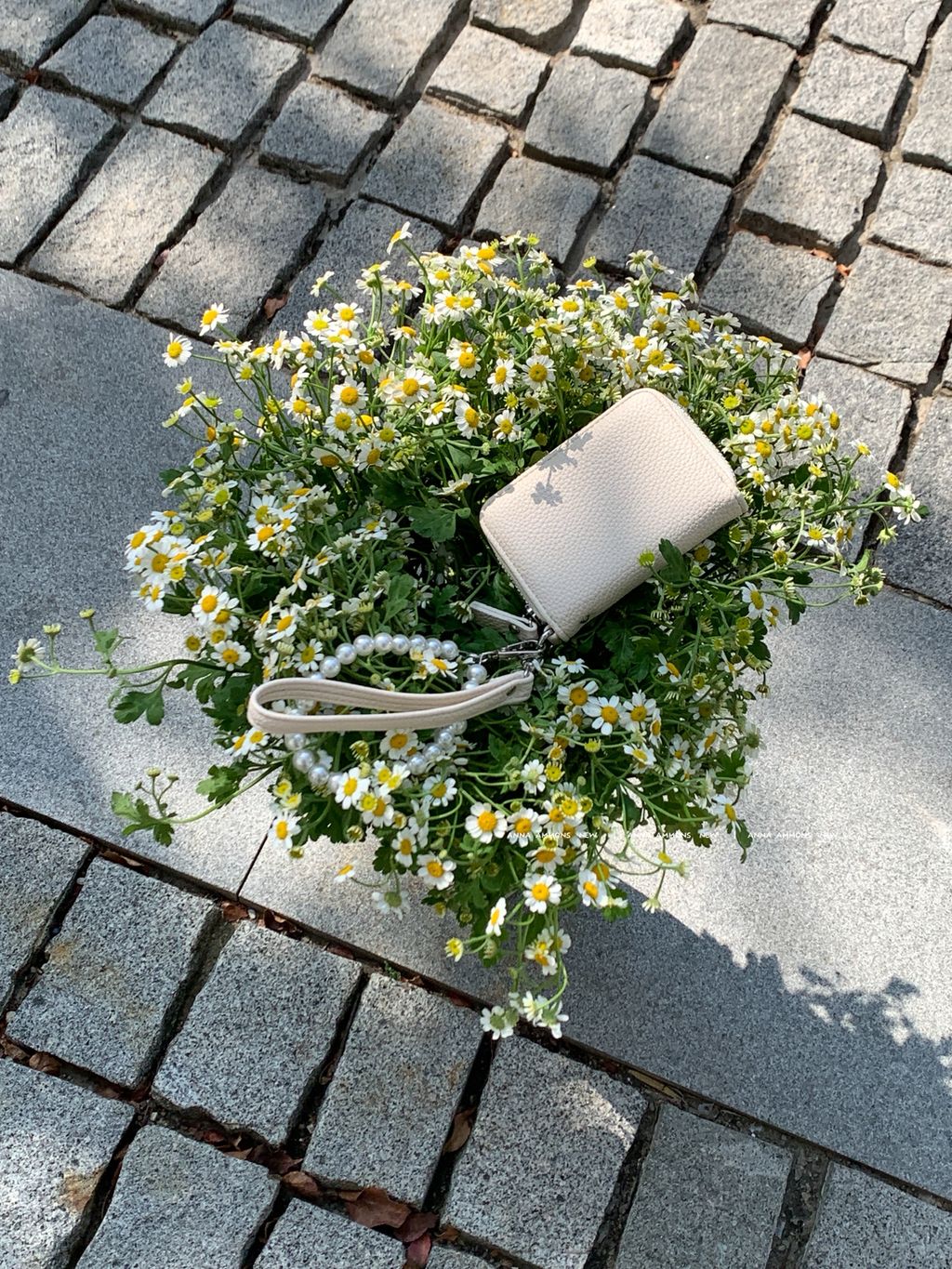 49c662e95899be641355b9723cb377e8