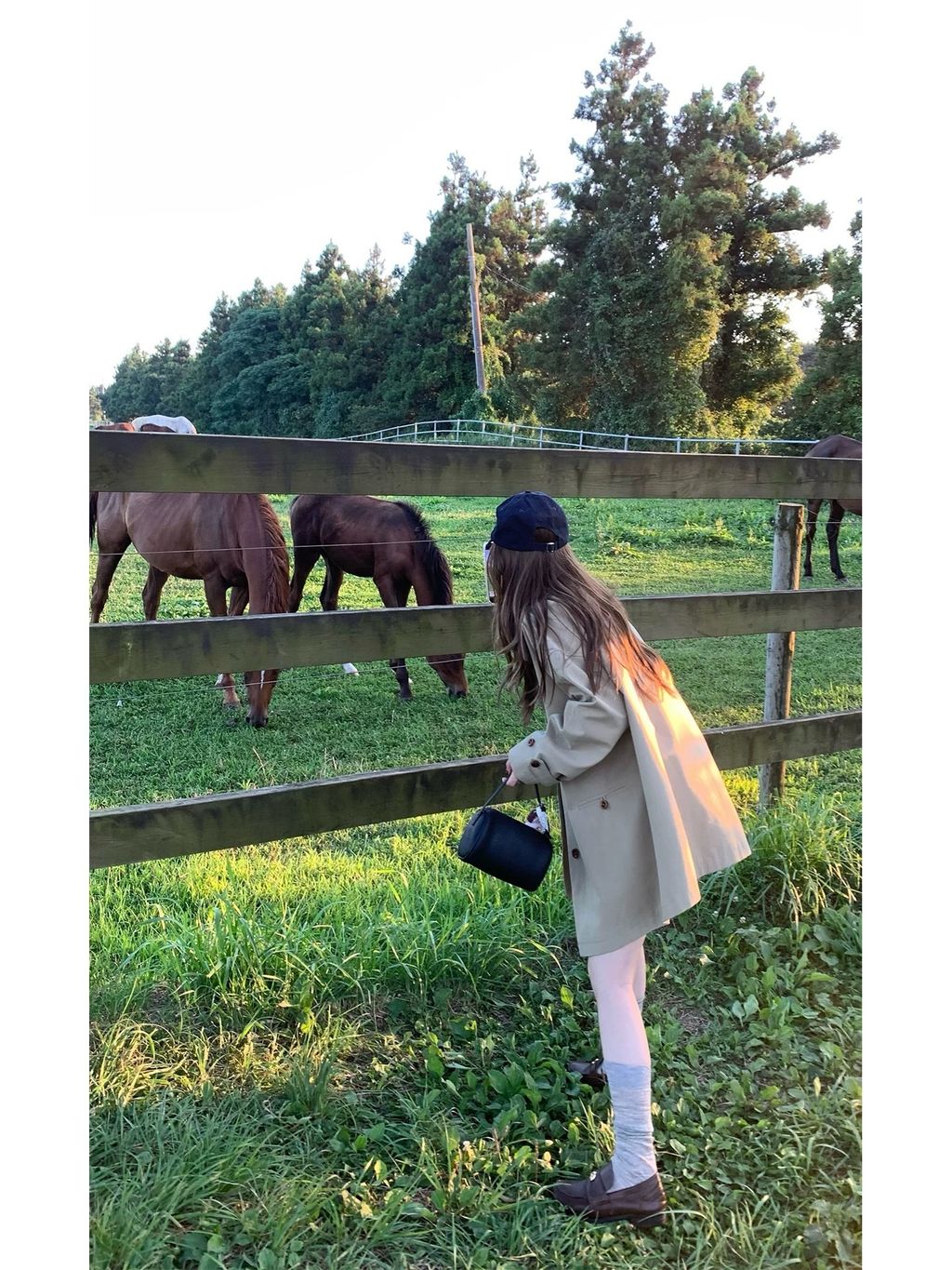 d24206795d38e1b8656fed2c244df5c0