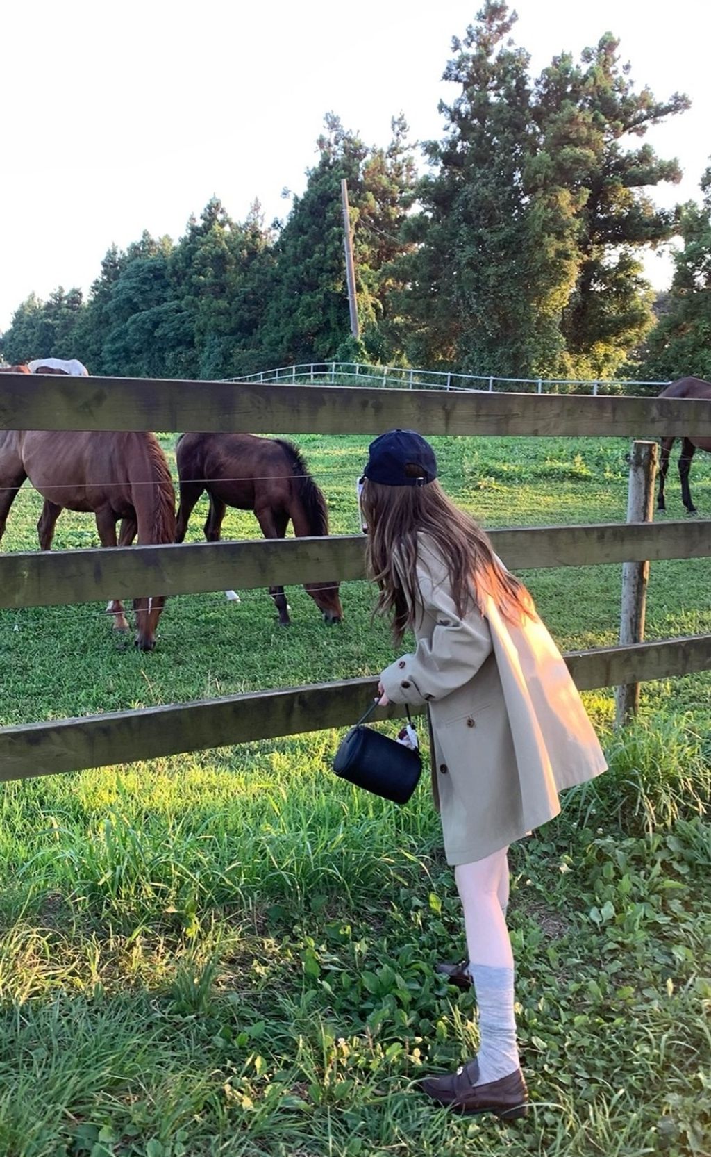 4366f7bf5d4a2dec2f3e54670ce56aba