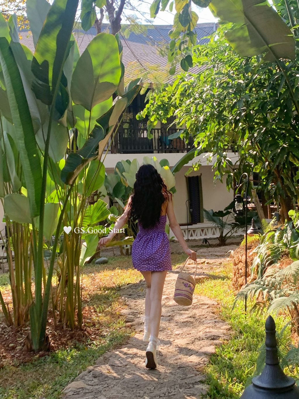 8239e8176820066d212caeb31b06b331