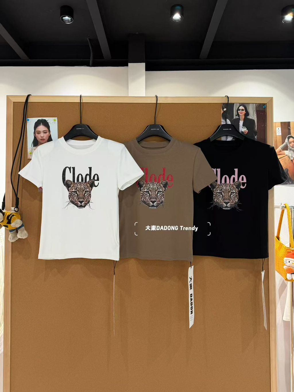 85acffd3567acef4f40dd857fcfbfd3c