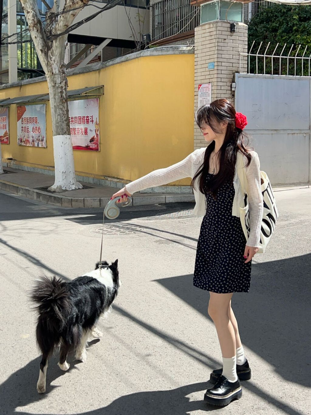 cc27f65a908716edbe1c27080cd33ebe