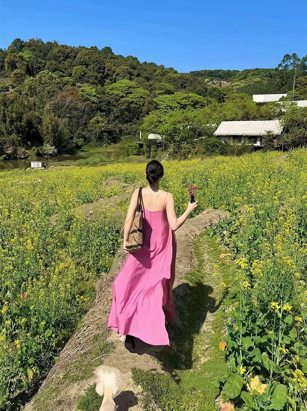 264951632ec5efc09dd0513eadf52e87