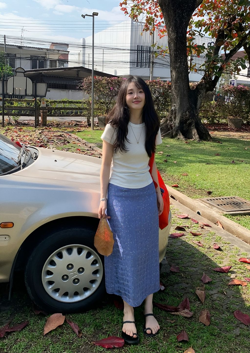 786d8e706225c08bca83ab7e14a3b4e1