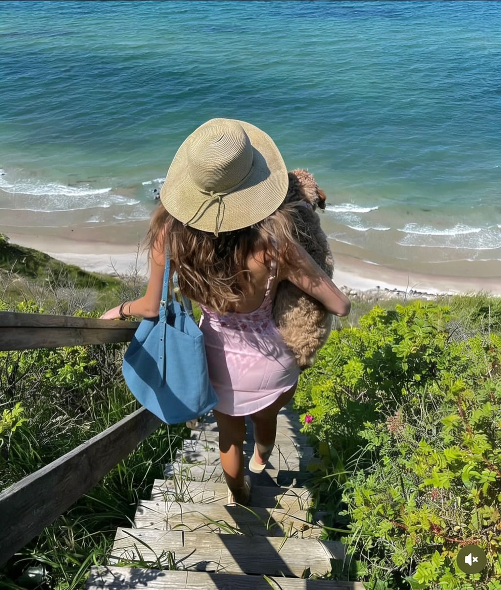 685111d646c65dfc5672fc61a2e7769d