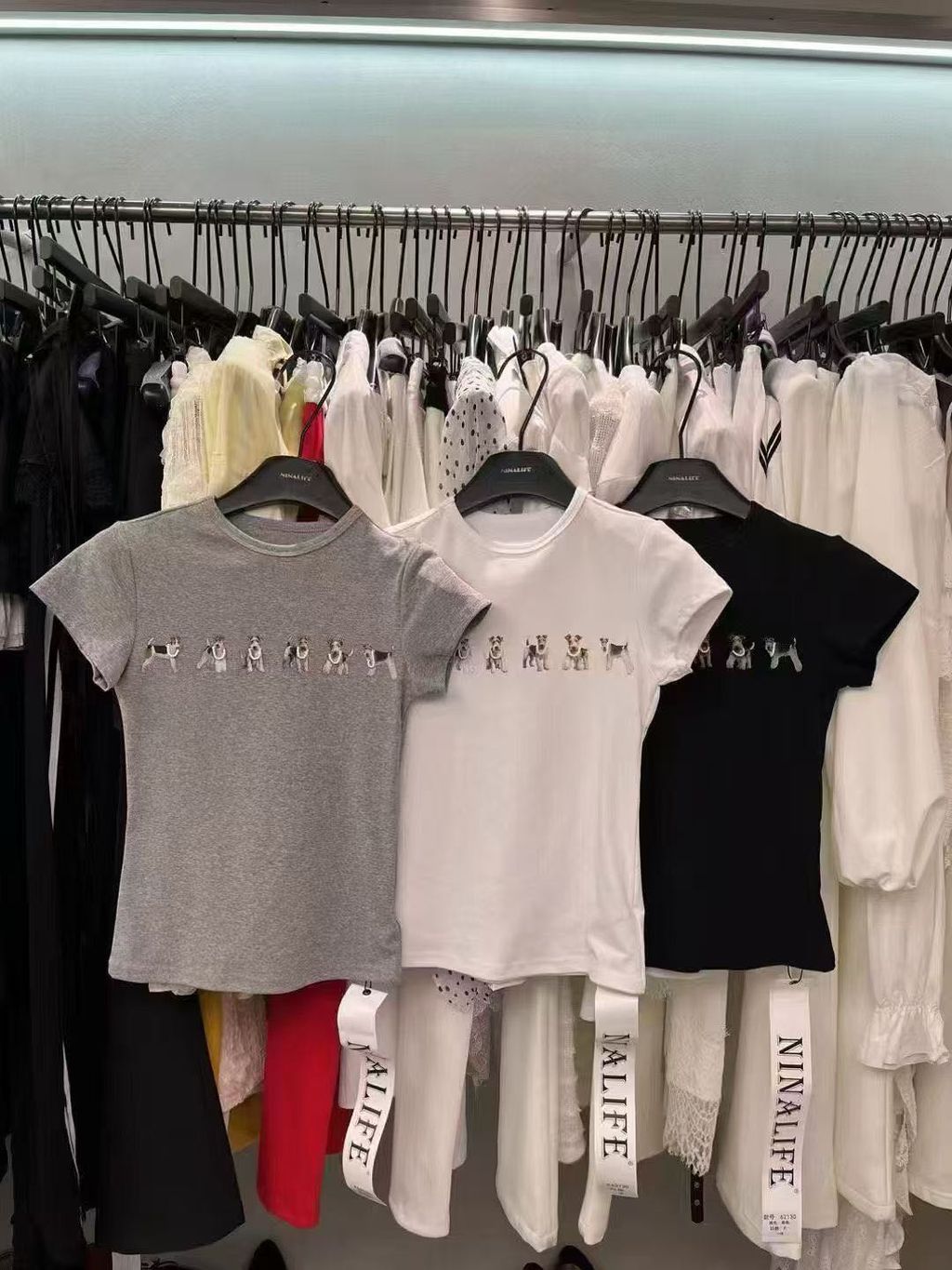 7d386b7854f17354797d82a10d7689b5