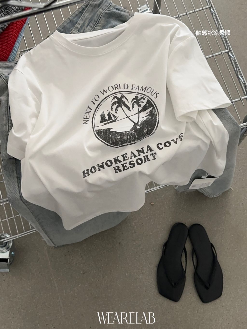 29c4c9956e9056479038ae72f4c13549