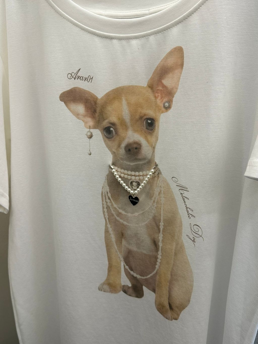 e29e64f23ae608f8dde1ac0bf56ebb76