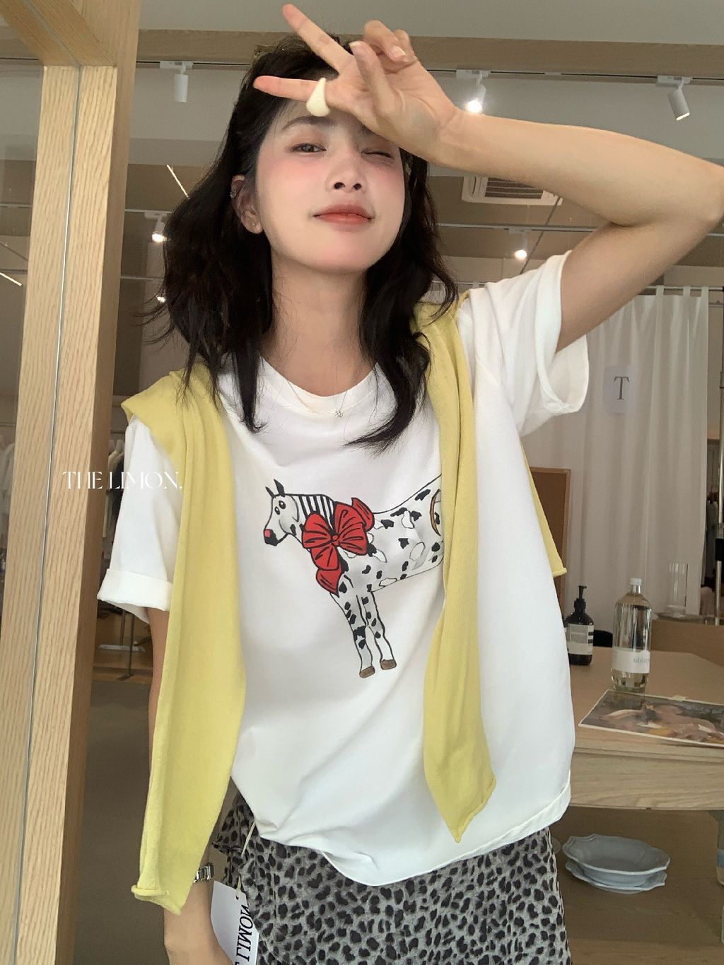 4e05524ccd0f0b9034c8c259a874ca6a