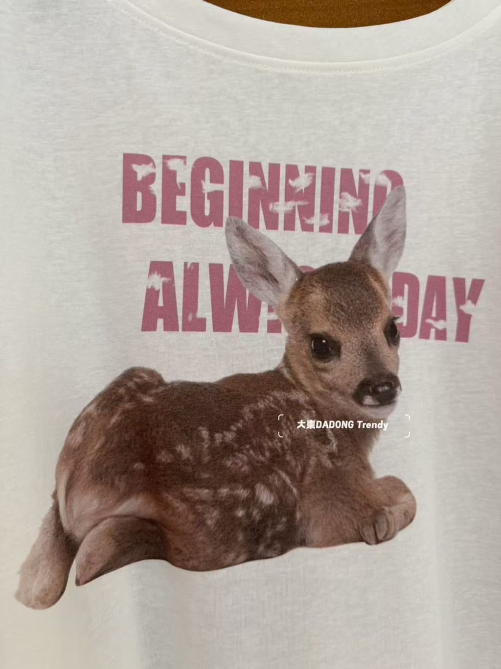 a731d4b5080fcaac5499b1550f5875f1