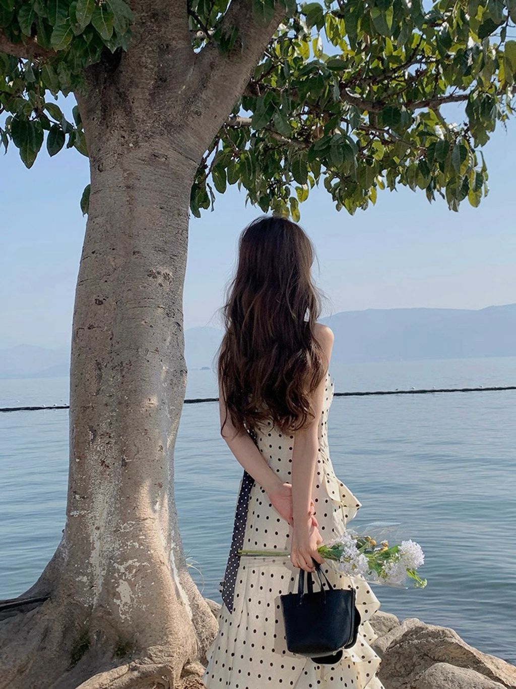 68fff671a2029d2a9a7d47abcaa6d928