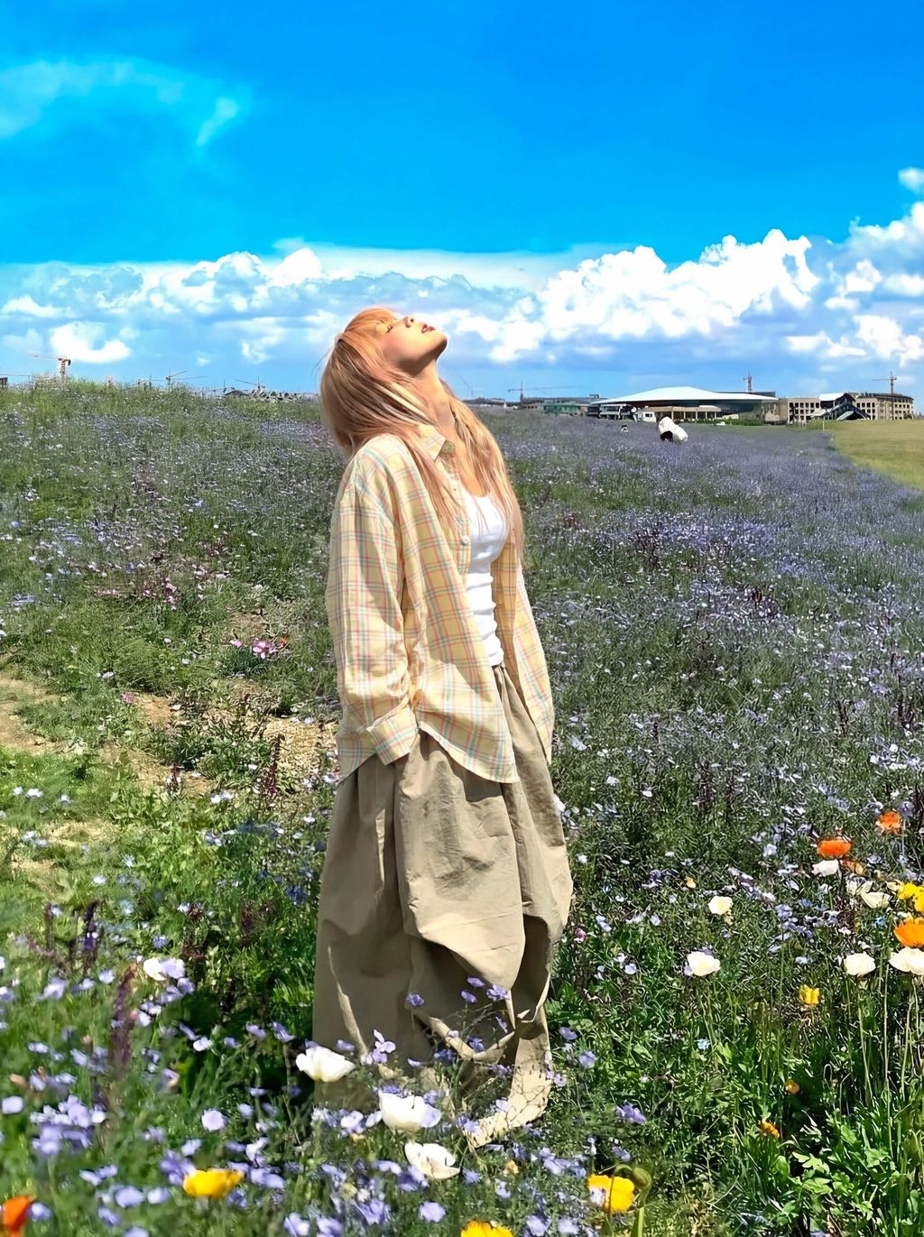 0c2e65119129bfee03ca936835701769