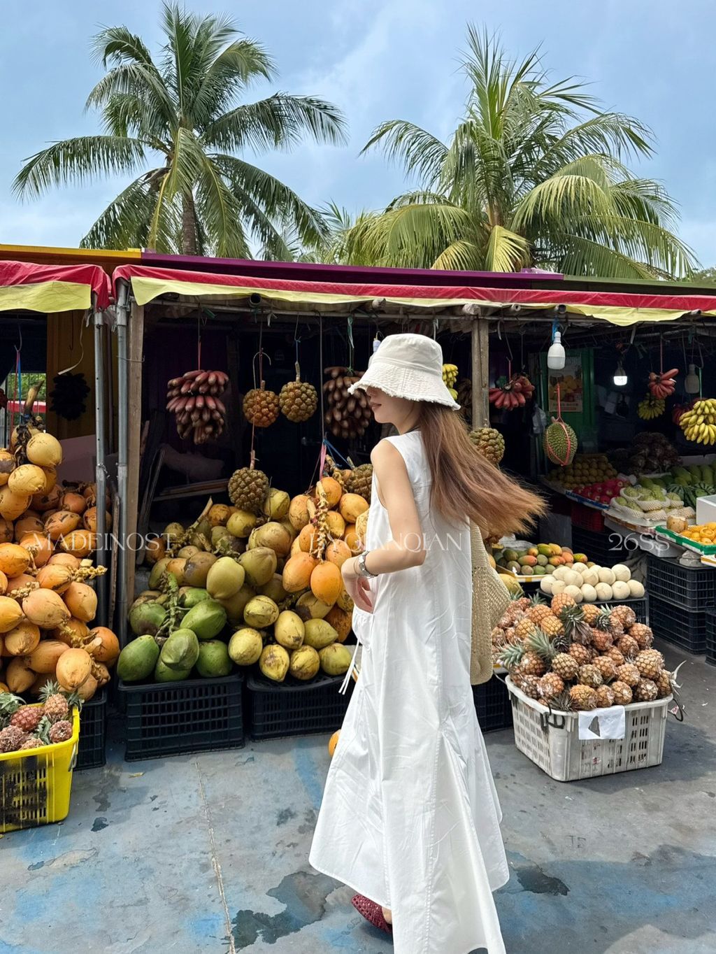 e324927945a51392583c0b92e838a6e6