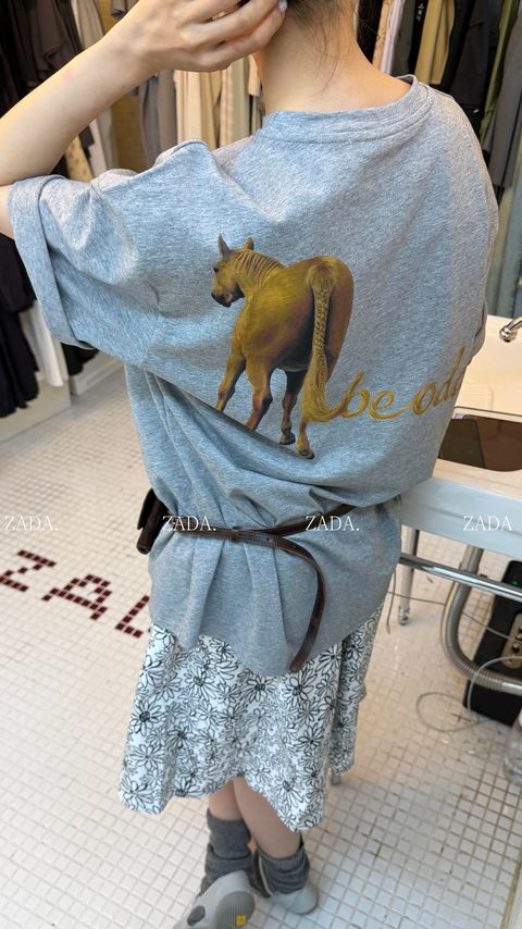 3583641ca9aaa6cac063a1b3312e4d1e