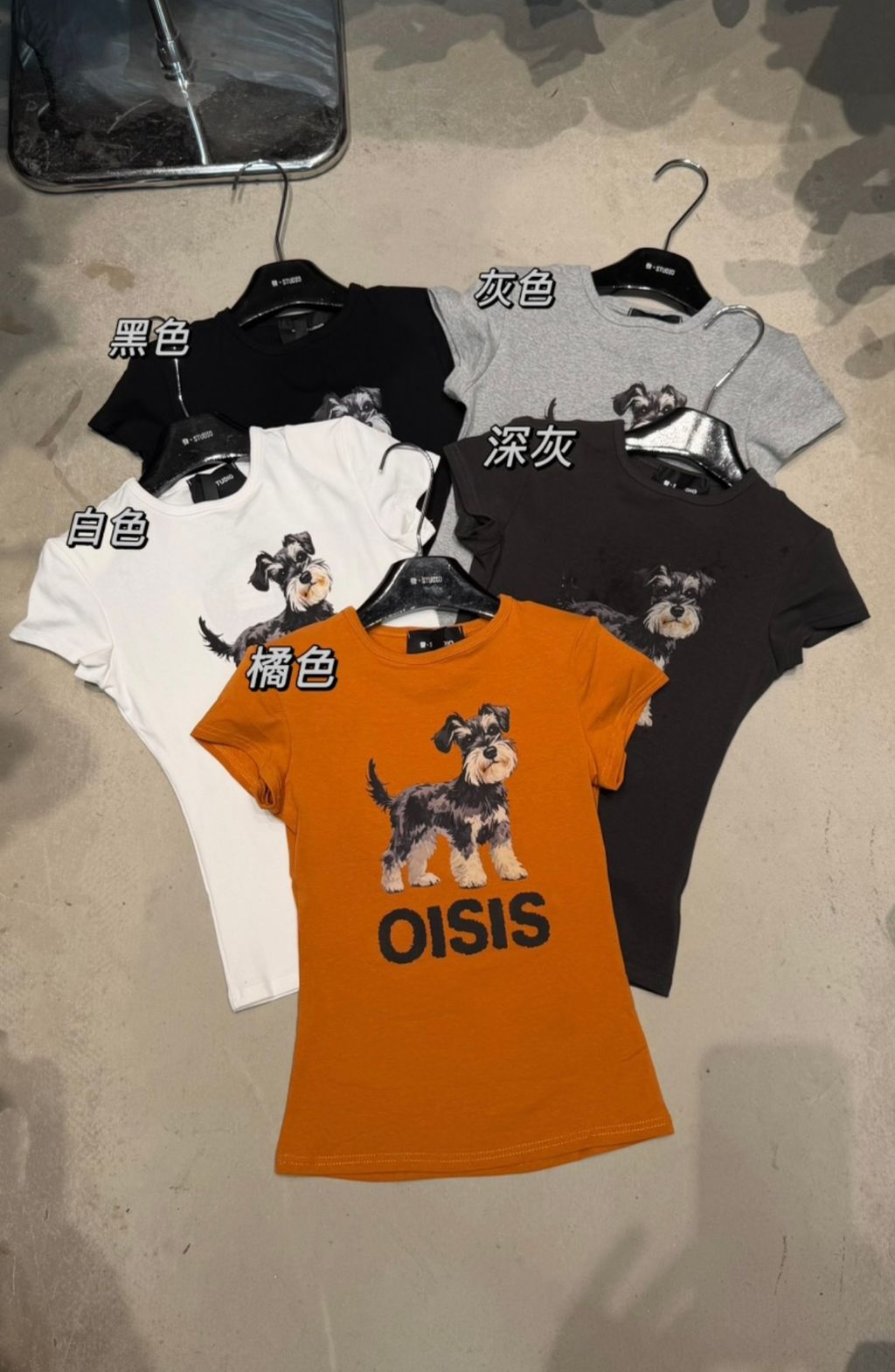 6a6ec419bb365fadb55d11645f581aa6