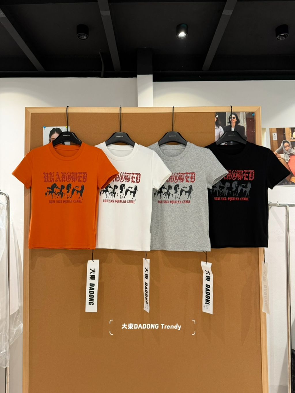 7db8a2b0c63bcb8aa6ce5dcda47b9598