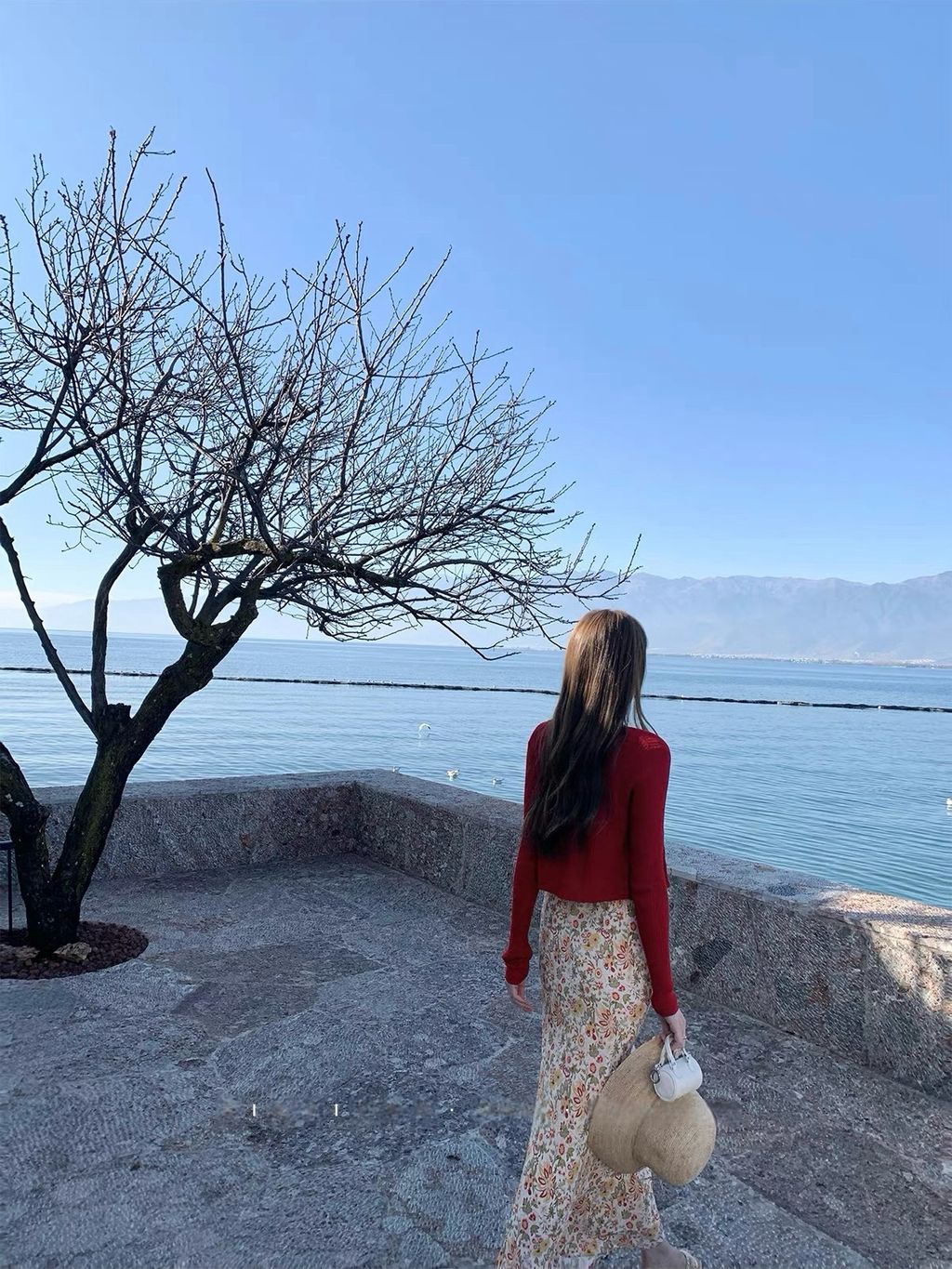 31a3aed004d832c937f40b363cb593ee