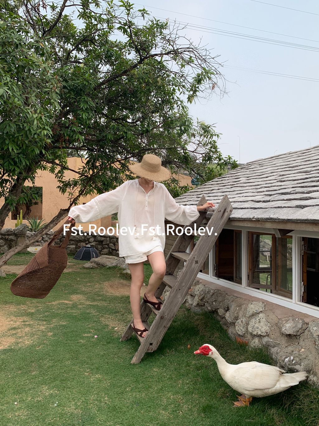 cff4a3aec27ff11c56b64d9206ff6699