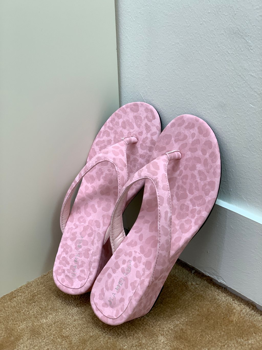 4f1fc57a81fe017dcc0dbbc015fa2b72