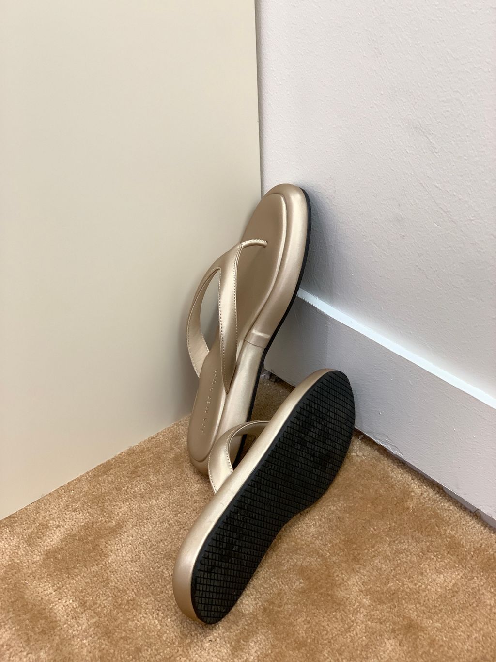 e6ff1cf77250d9efcf0c1ce151e0b2f1