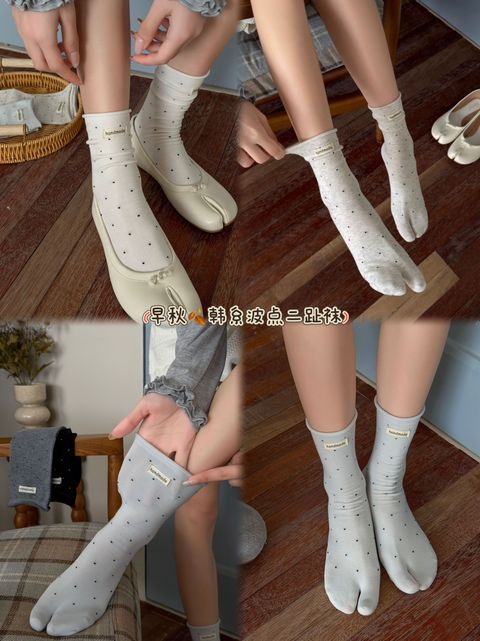708e52ff420c865a4085388119a116c4
