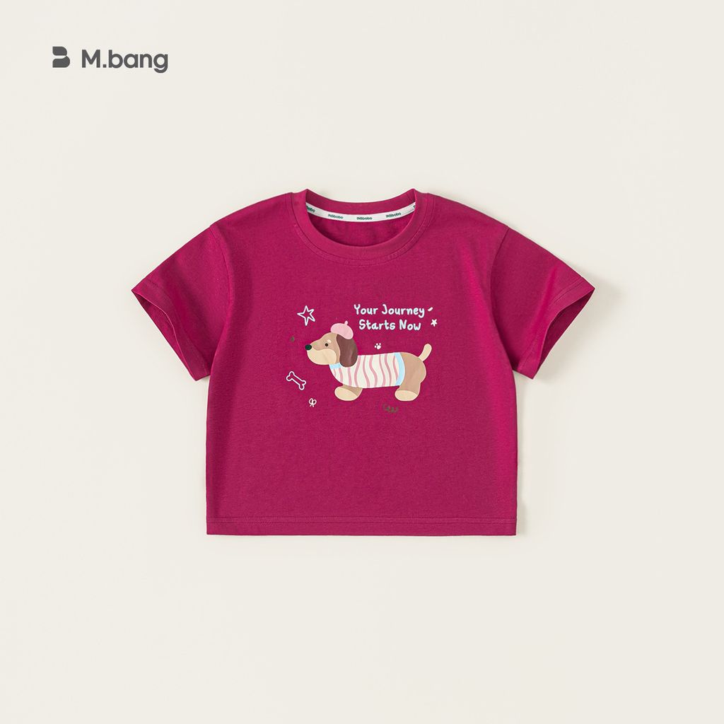 O1CN01DSN8iB1na8ynAgbul_!!2560485105-0-cib