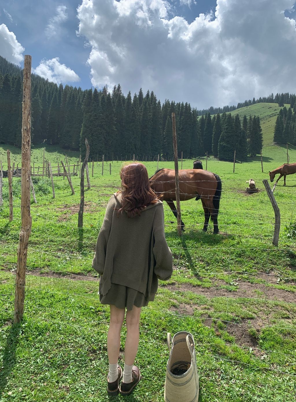 b4db2339bc840a6f723924edfb2b623e