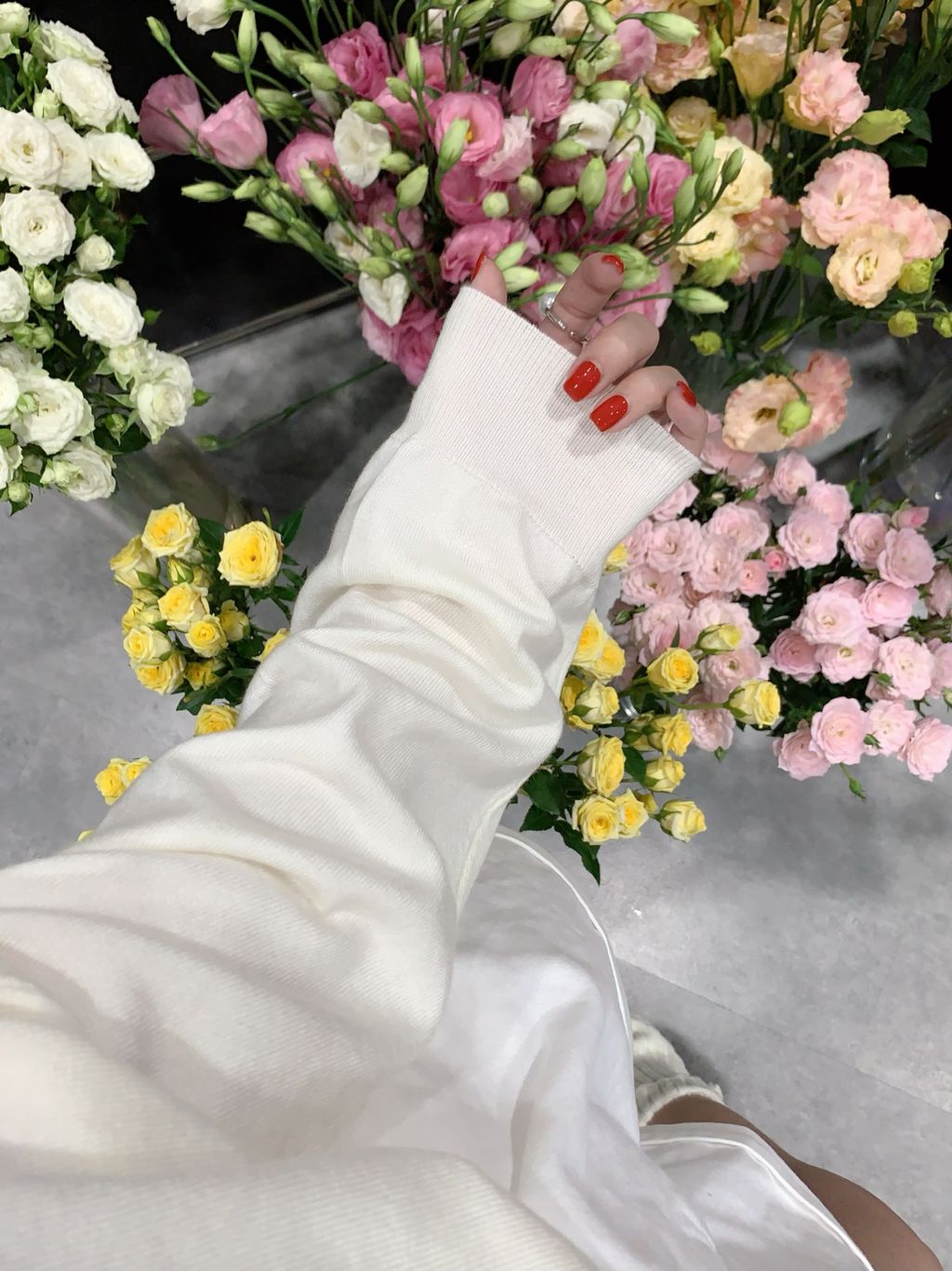 5088d8d25b7fbe13dd2deb2c97ad0484