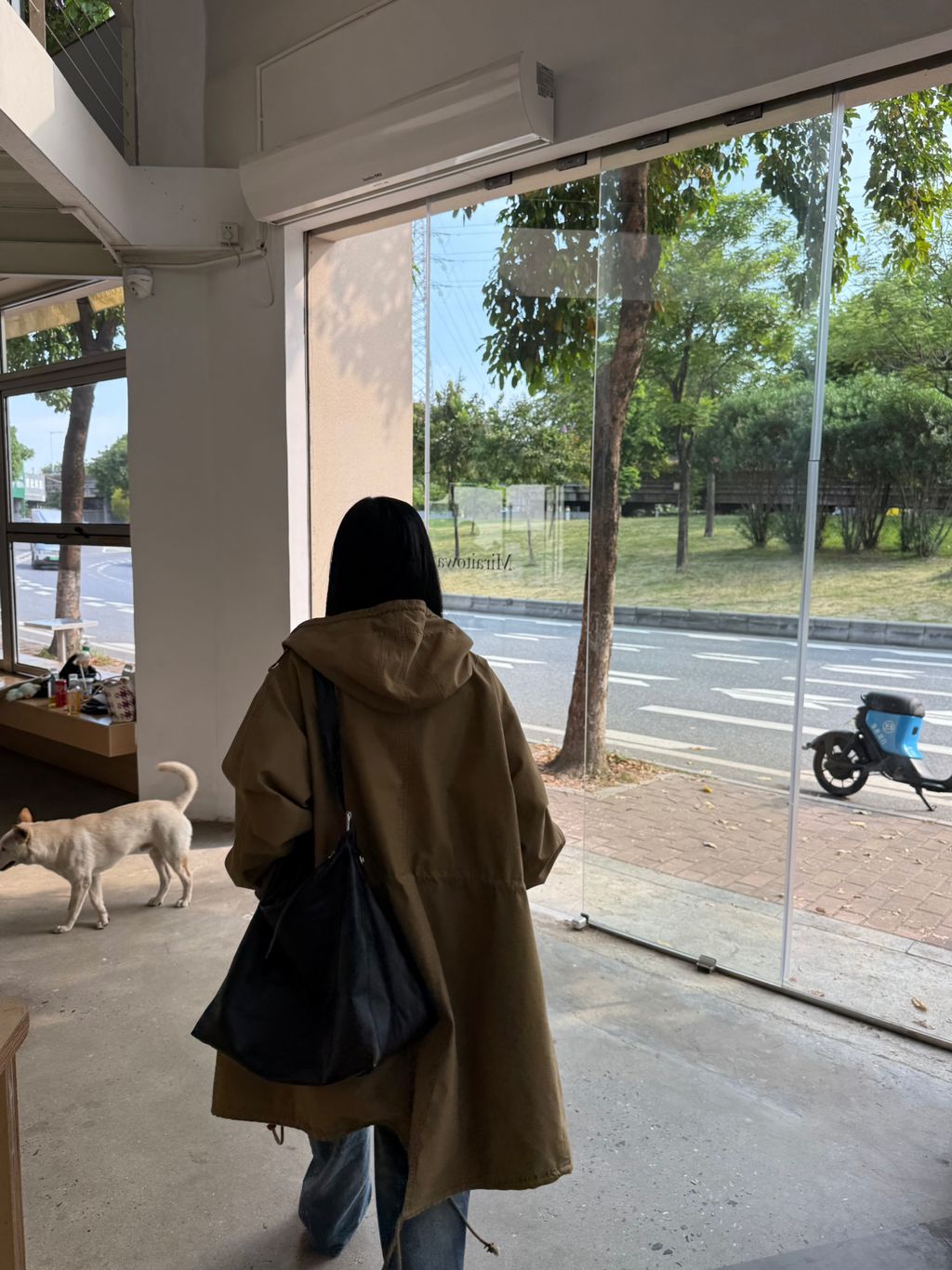 bb64755b13bd6c1c4b046fa3ca5b2a56