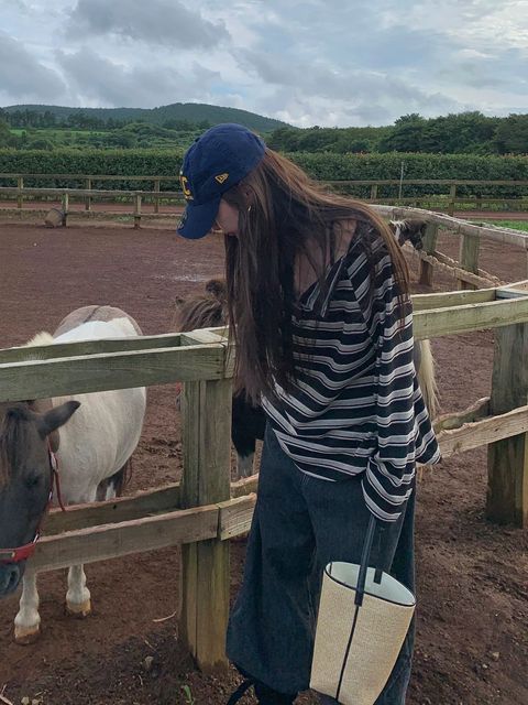 56de17e2cc0540abe877380ff851684f