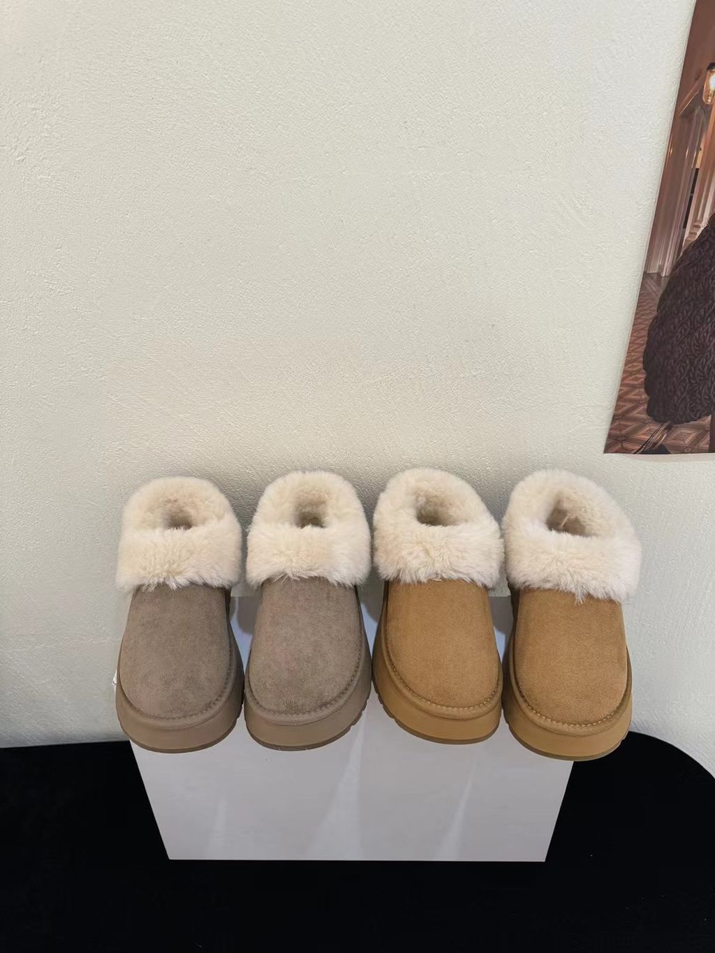 d971044f653c81a4f39aab7c3b528588